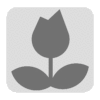 flowering-icon