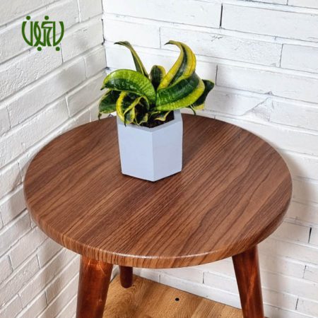 سانسوریا پاکوتاه فر