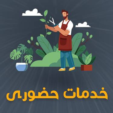 خدمات حضوری باغبون